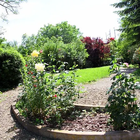 Borgo Al Navile B&B-3